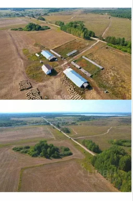 Участок в Челябинская область, Каслинский муниципальный округ, с. ... - Фото 1