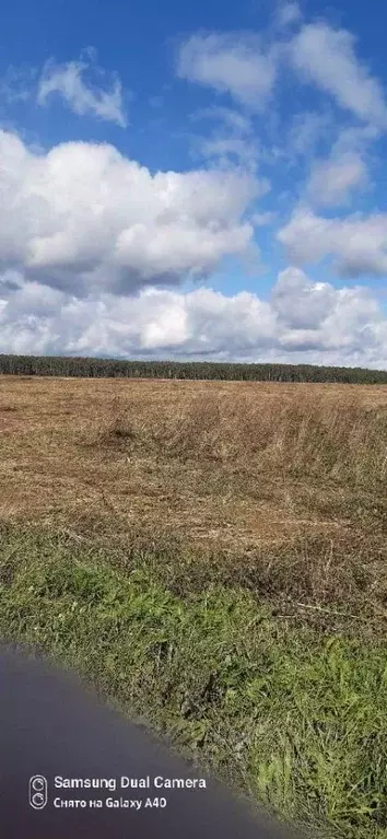 Участок в Московская область, Серпухов городской округ, д. Бутурлино  ... - Фото 0