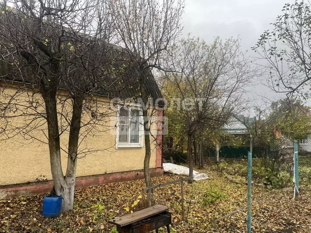 Дом в Воронежская область, Семилукский район, Девицкое с/пос, Рыбник ... - Фото 1