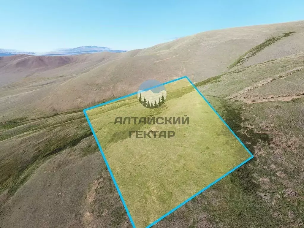 Участок в Алтай, Кош-Агачский район, с. Тобелер  (3240.0 сот.) - Фото 1