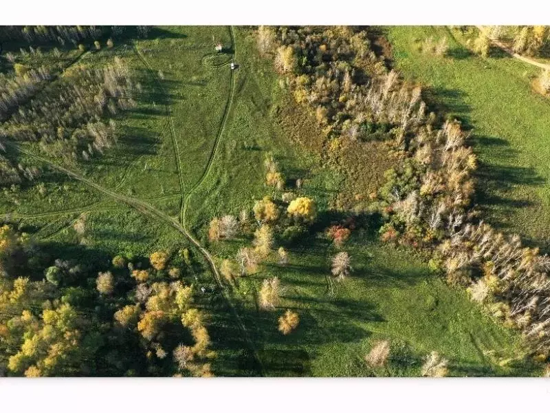 Участок в Новосибирская область, Новосибирский район, Станционный ... - Фото 1