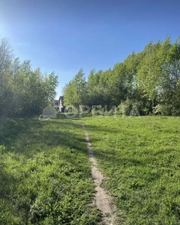 Участок в Тюменская область, Тюменский муниципальный округ, с. ... - Фото 2