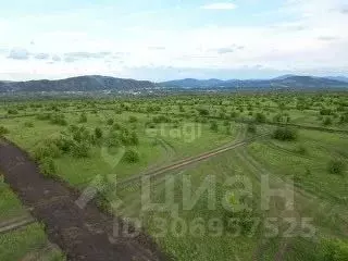 Участок в Алтай, Майминский район, с. Подгорное  (10.0 сот.) - Фото 0