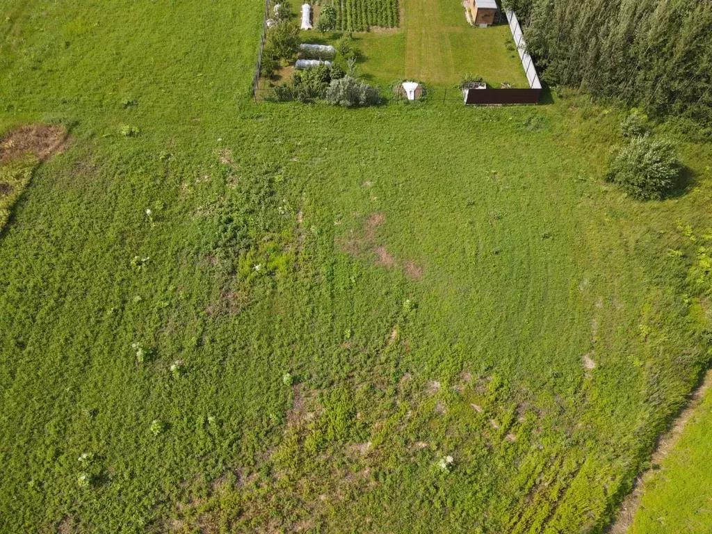 Участок в Московская область, Лотошино муниципальный округ, пос. ... - Фото 1