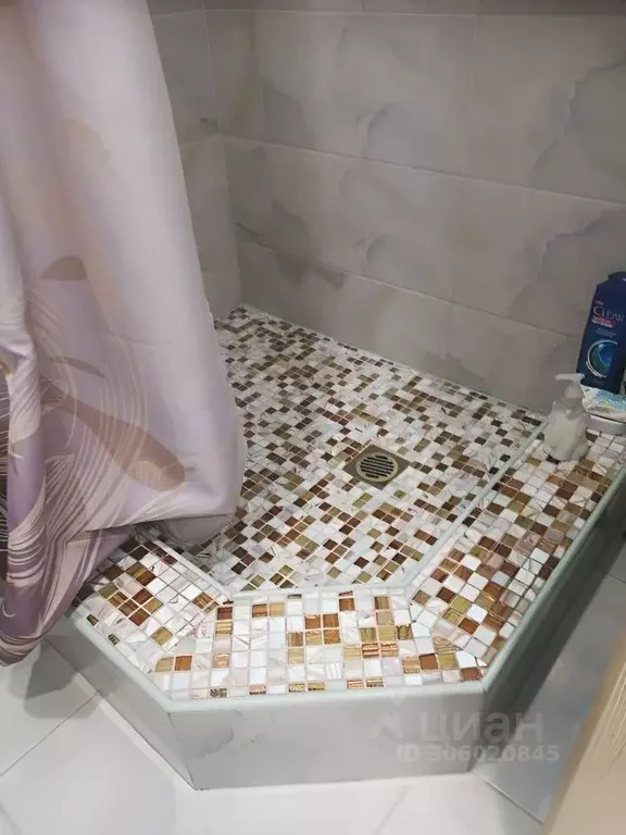 Дом в Липецкая область, пос. Лев Толстой ул. Льва Толстого, 98 (43 м) - Фото 1