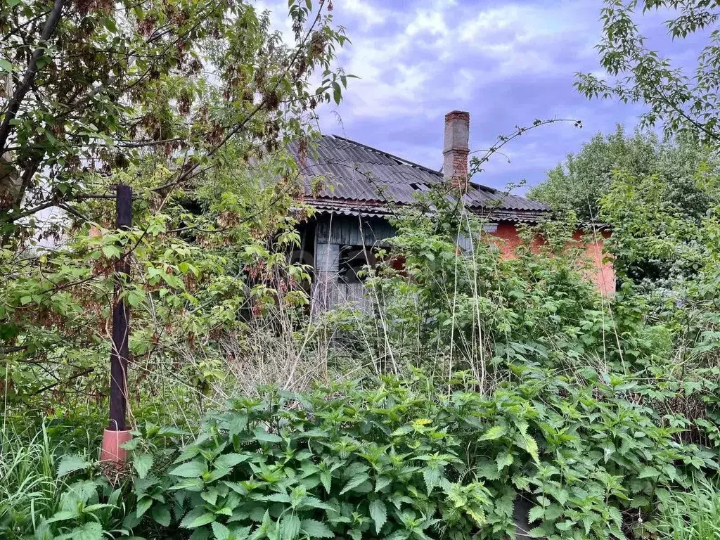 3-к кв. Кемеровская область, Ленинск-Кузнецкий Тополиная ул., 4 (72.3 ... - Фото 1