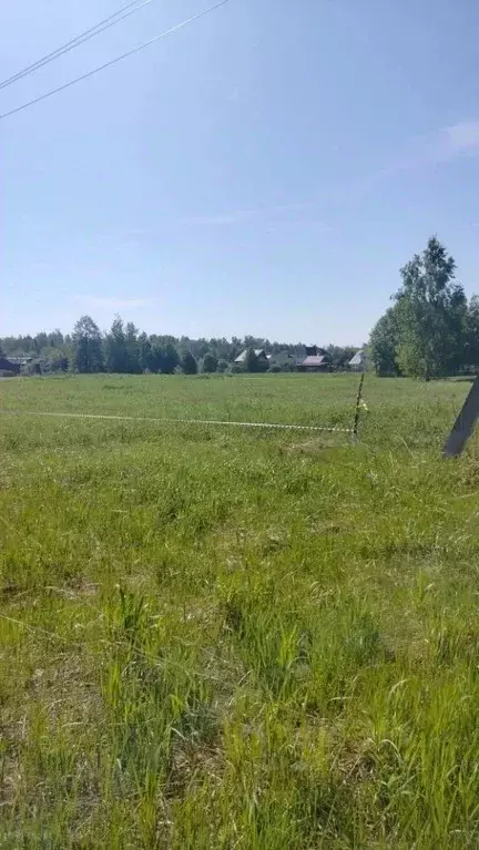 Участок в Московская область, Коломна  (12.0 сот.) - Фото 2