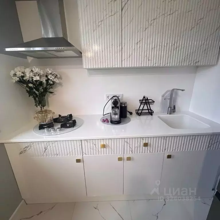 1-к кв. Московская область, Истра муниципальный округ, с. ... - Фото 2