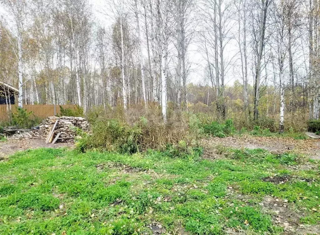 Участок в Тюменская область, Нижнетавдинский муниципальный округ, ... - Фото 1