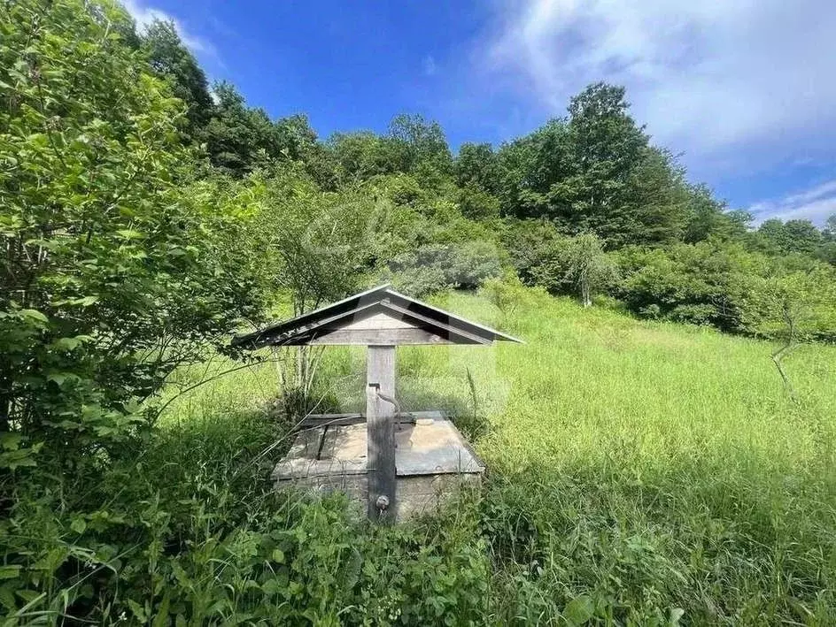 Участок в Краснодарский край, Апшеронский район, Куринское с/пос, ... - Фото 1