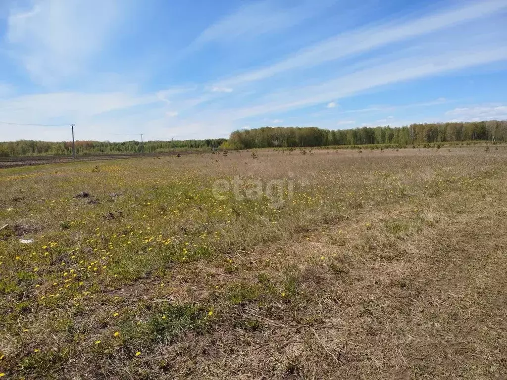 Участок в Тюменская область, Тюменский район, с. Кулига, Кулига-2 мкр  ... - Фото 0