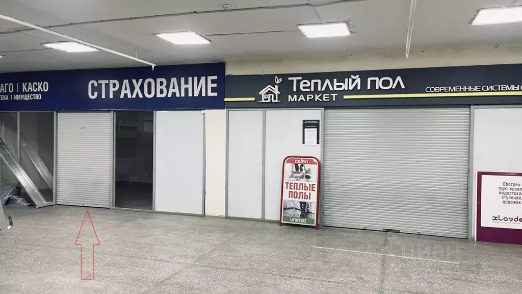 Помещение свободного назначения в Вологодская область, Вологда ... - Фото 2