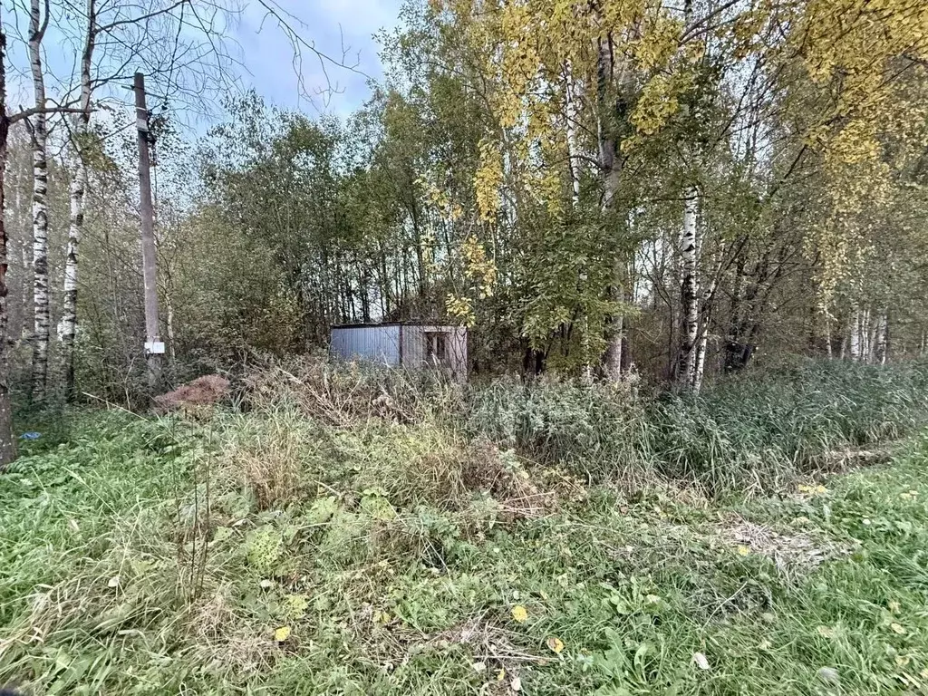 Участок в Ленинградская область, Гатчинский муниципальный округ, Дони ... - Фото 2