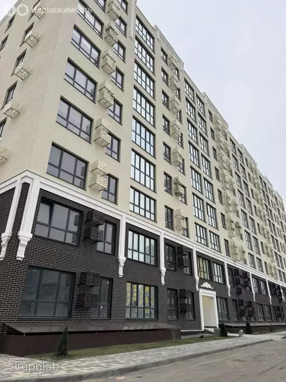 1-комнатная квартира: Волгоград, район Семь Ветров, бульвар 30-летия ... - Фото 1