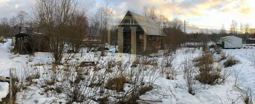 Участок в Ленинградская область, Кировский район, Назиевское городское ... - Фото 0