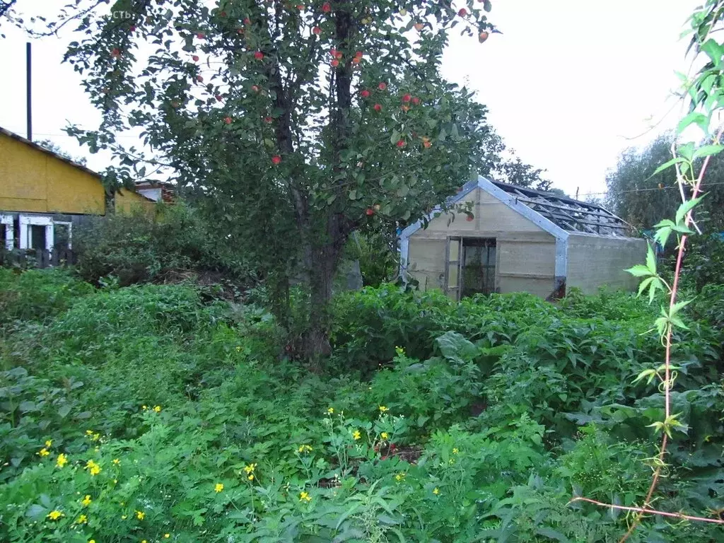 Дом в Курган, СНТ Промжелезобетон, Садовая улуца, 115 (42 м) - Фото 0