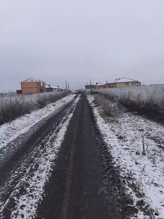 Участок в Белгородская область, Белгородский район, с. Стрелецкое ул. ... - Фото 1