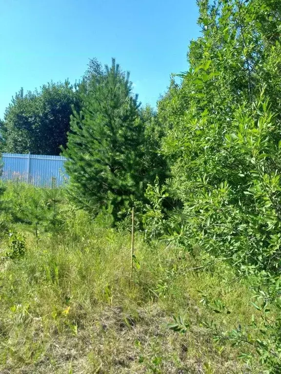 Участок в Свердловская область, Белоярский муниципальный округ, ... - Фото 2