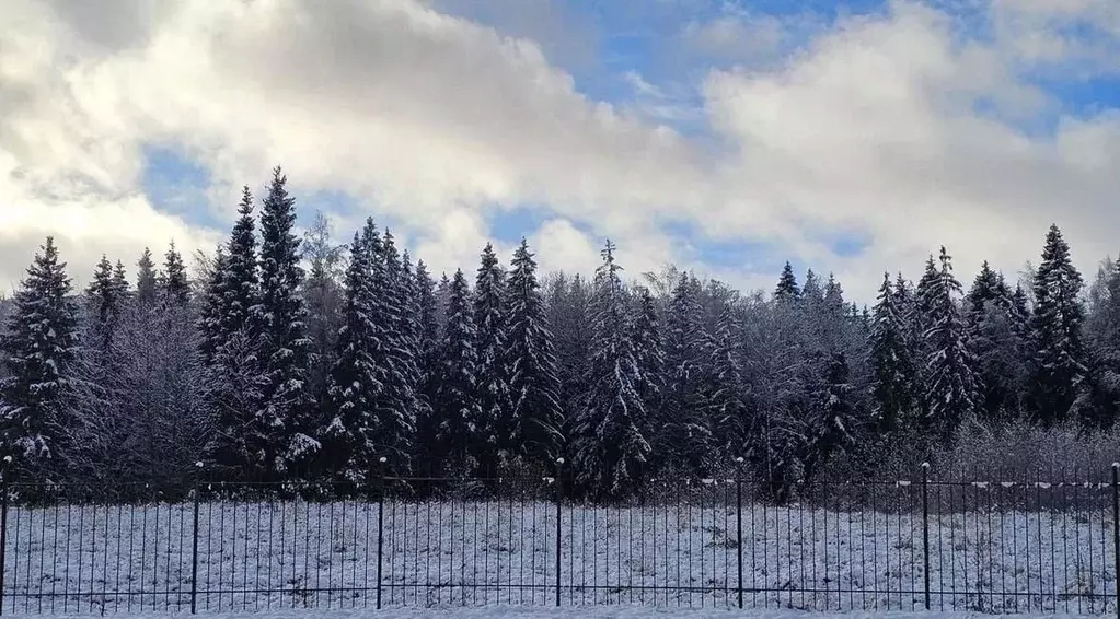 Таунхаус в Московская область, Химки городской округ, д. ... - Фото 2