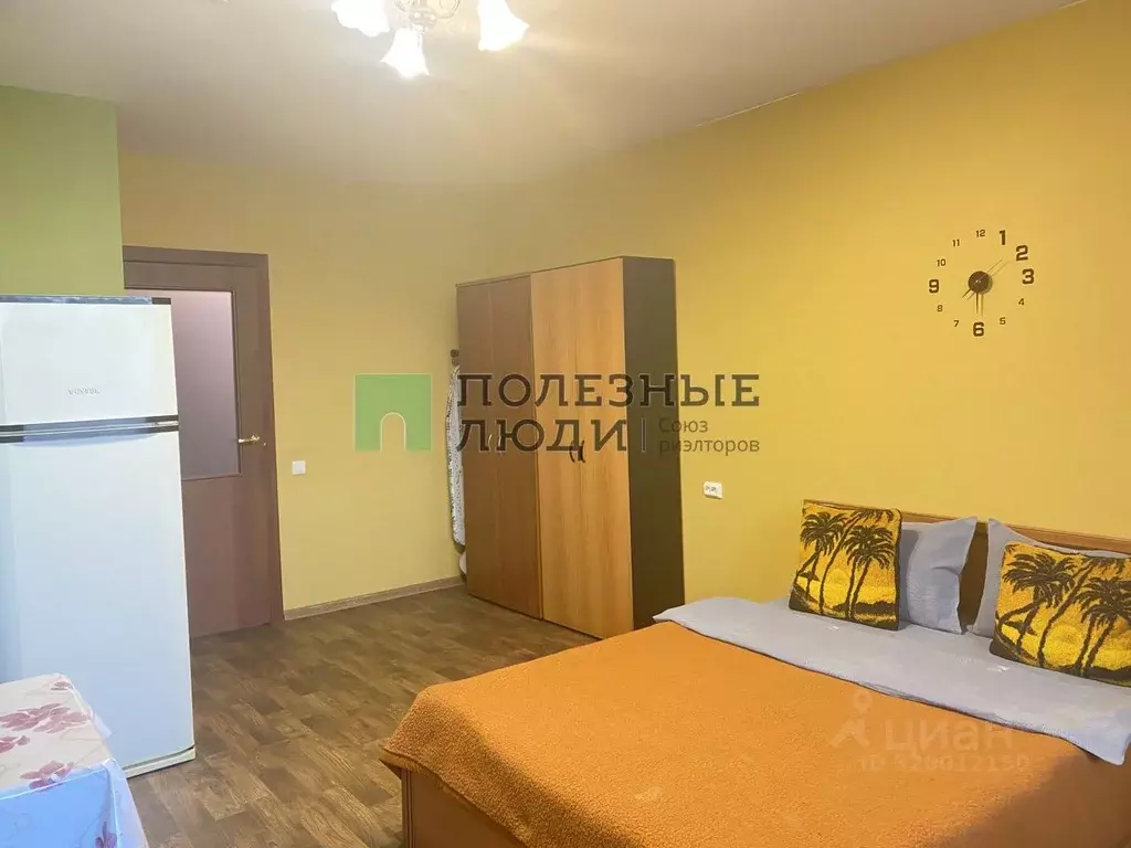 Студия Ярославская область, Ярославль ул. Панина, 3А (27.0 м) - Фото 1