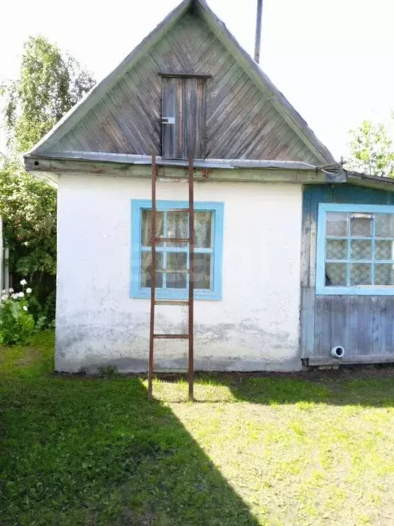 Участок в Тюменская область, Тюмень Электрон СНТ, ул. Серебряная, 5 ... - Фото 1