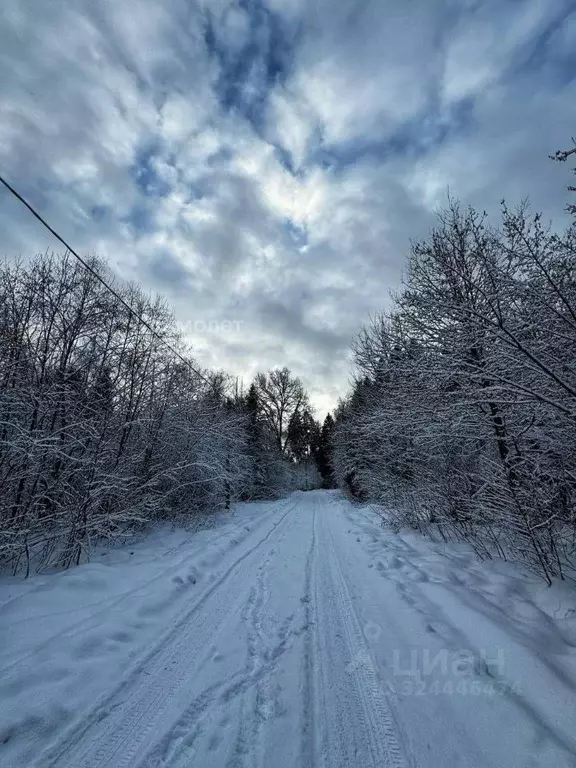 Участок в Московская область, Истра муниципальный округ, д. Рожново  ... - Фото 2