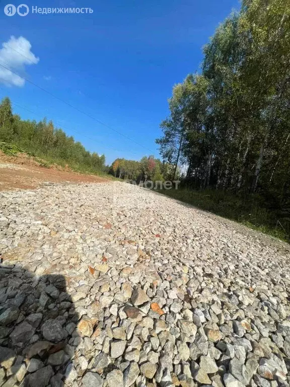 Участок в Добрянский городской округ, деревня Залесная (10000 м) - Фото 0