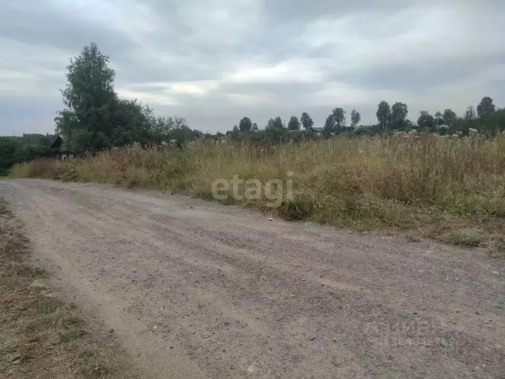 Участок в Вологодская область, Белозерский муниципальный округ, с. ... - Фото 1