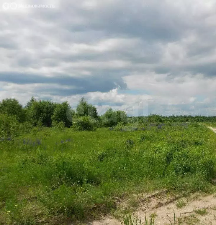 Участок в Нижегородская область, Богородский муниципальный округ, село ... - Фото 1