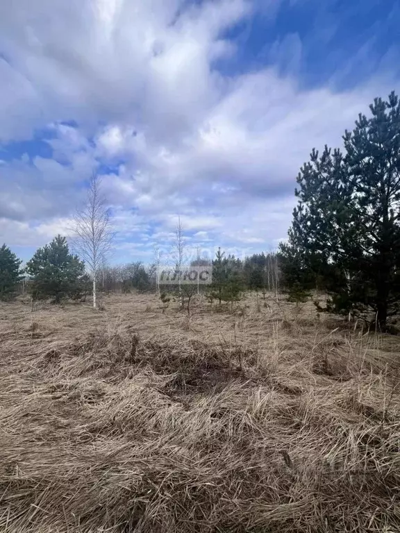 Участок в Липецкая область, Задонский муниципальный округ, с. Казино  ... - Фото 1