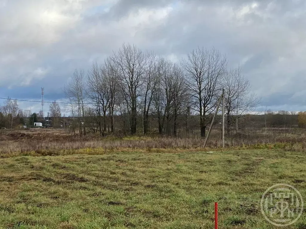 Участок в Ленинградская область, Лужский район, Скребловское с/пос, д. ... - Фото 2
