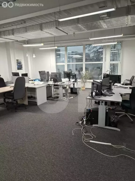 Офис (1825 м) - Фото 2