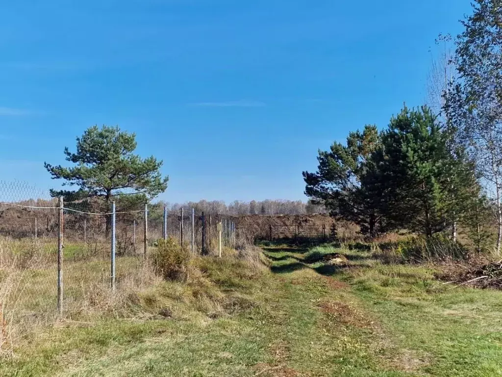 Участок в Алтайский край, Первомайский район, Лесные поляны СНТ ул. ... - Фото 1