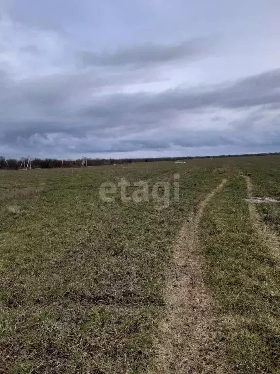 Участок в Краснодарский край, Ейский район, Красноармейское с/пос, ... - Фото 2