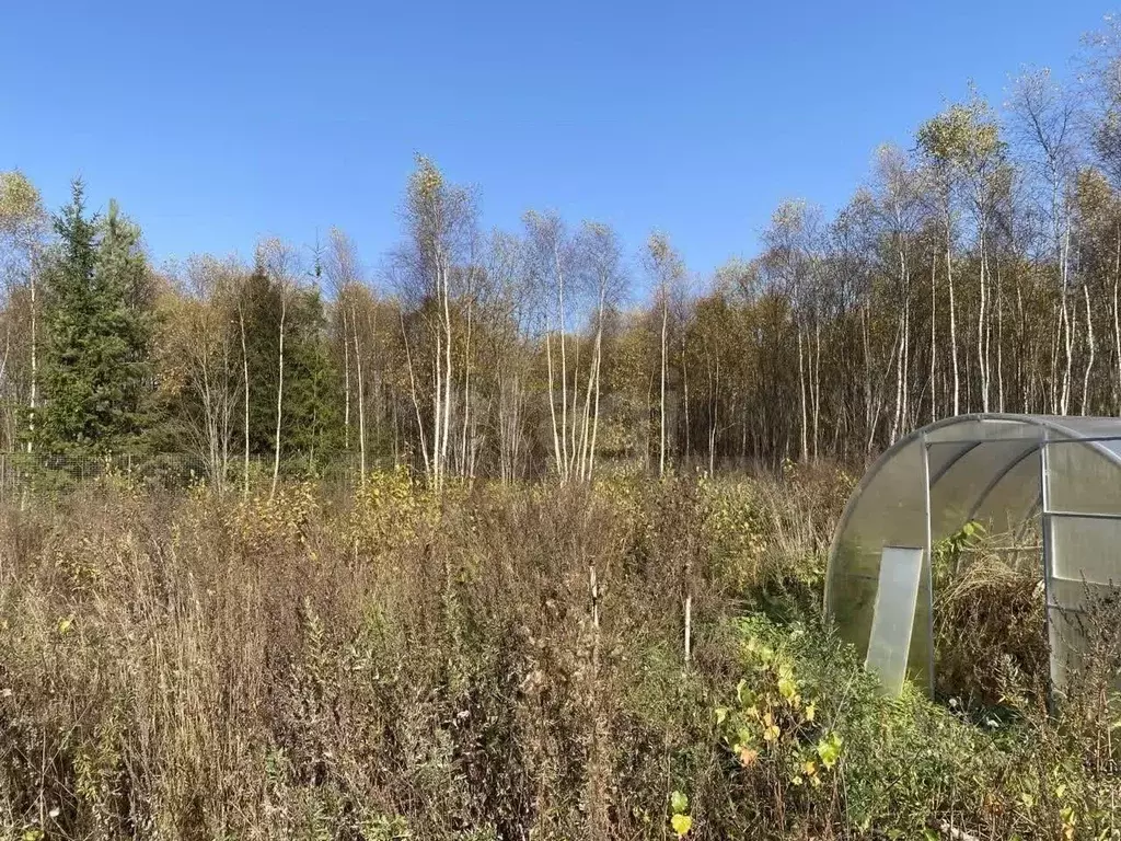 Участок в Калужская область, Боровский муниципальный округ, Совьяки ... - Фото 2