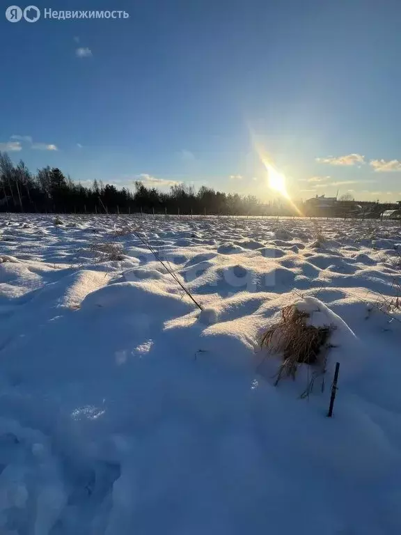 Участок в Ленинградская область, Всеволожск (9.67 м) - Фото 1