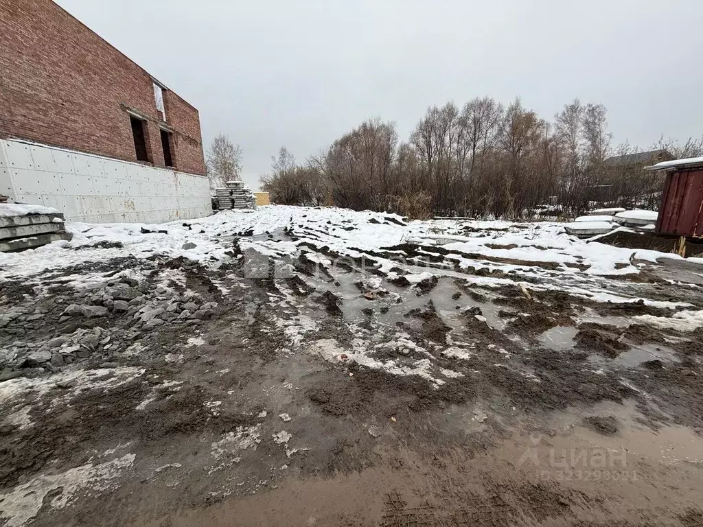 Участок в Новосибирская область, Новосибирский район, Каменский ... - Фото 1
