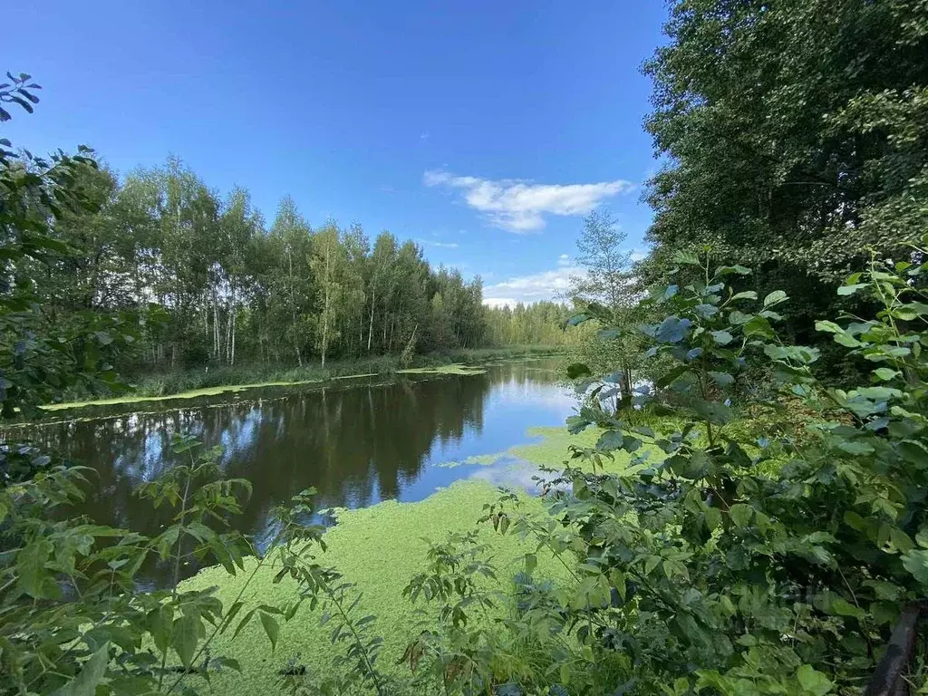 Дом в Нижегородская область, Балахнинский муниципальный округ, ... - Фото 0