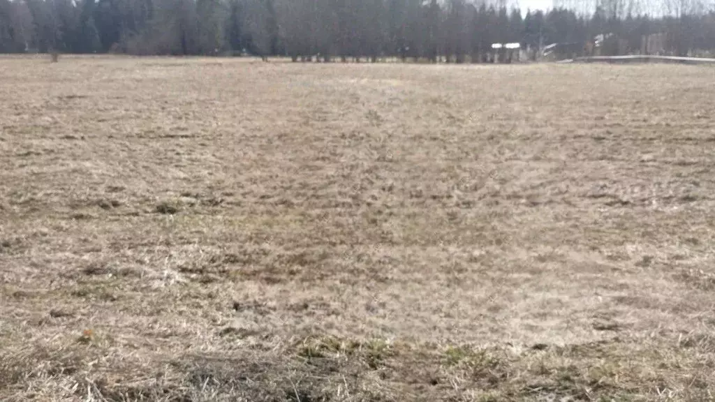 Участок в Московская область, Истра муниципальный округ, д. Давыдково  ... - Фото 2