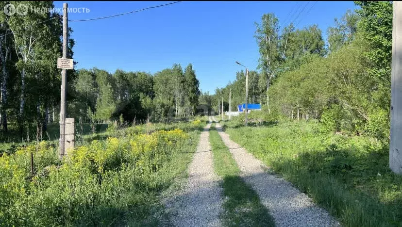 Дом в Раздольненский сельсовет, ДНТ Лекон (24 м) - Фото 1