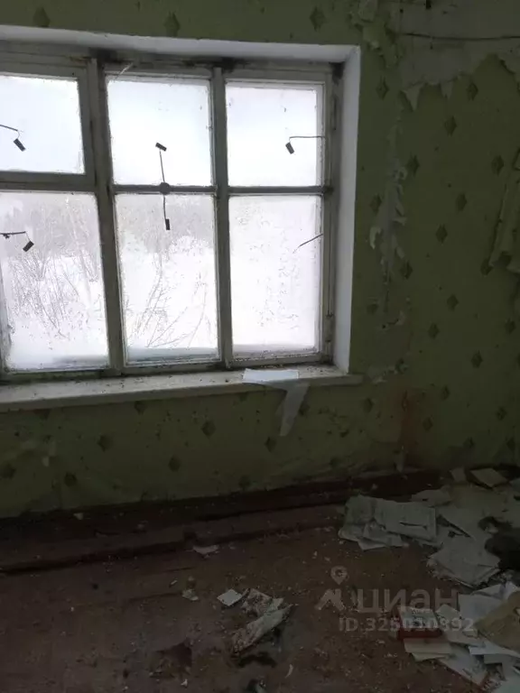 Помещение свободного назначения в Алтайский край, Зональный район, с. ... - Фото 2