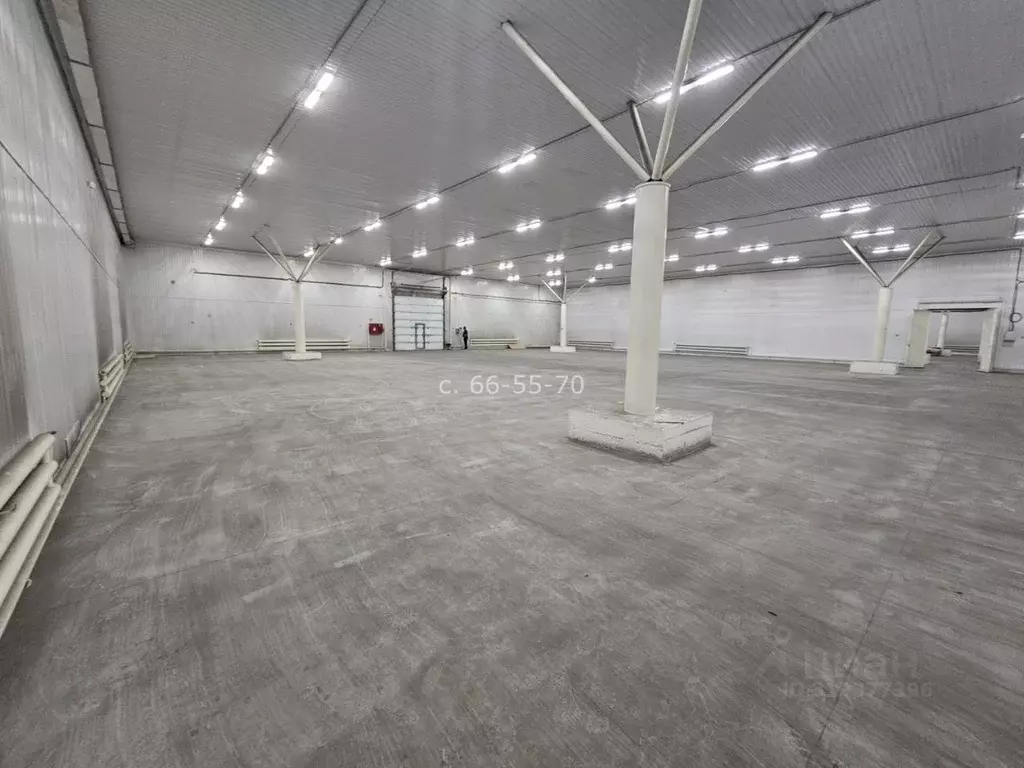 Склад в Иркутская область, Шелехов ул. Ивана Кочубея, 56 (1800 м) - Фото 1