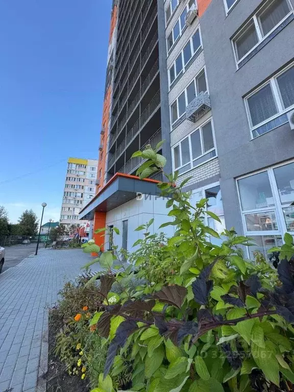 3-к кв. Саратовская область, Энгельс ул. Шурова Гора, 7/17А (84.4 м) - Фото 0