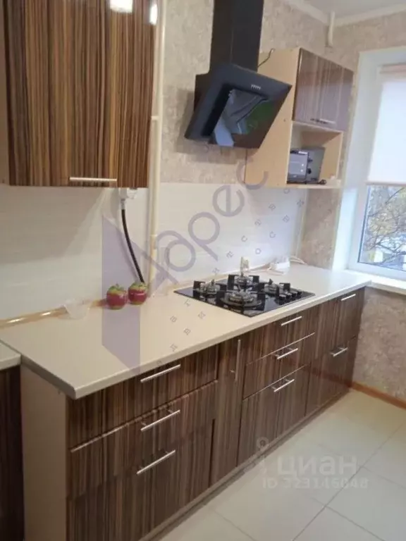 2-к кв. Нижегородская область, Нижний Новгород Ижорская ул., 38 (45.0 ... - Фото 1