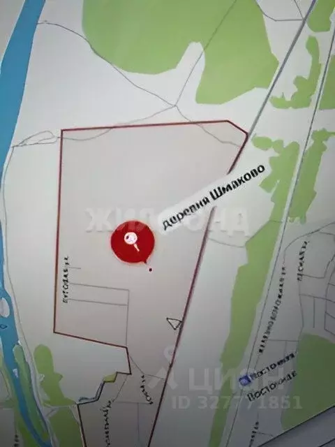 Участок в Новосибирская область, Тогучинский район, Репьевский ... - Фото 1