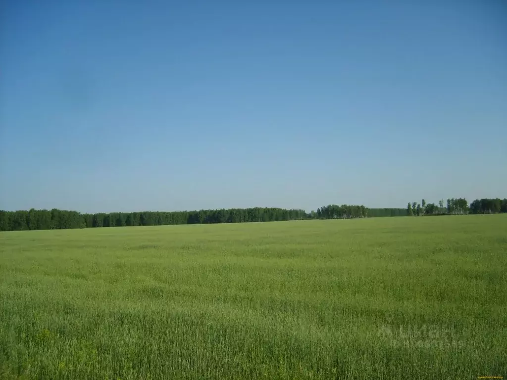 Участок в Липецкая область, Грязинский район, Карамышевский сельсовет, ... - Фото 1