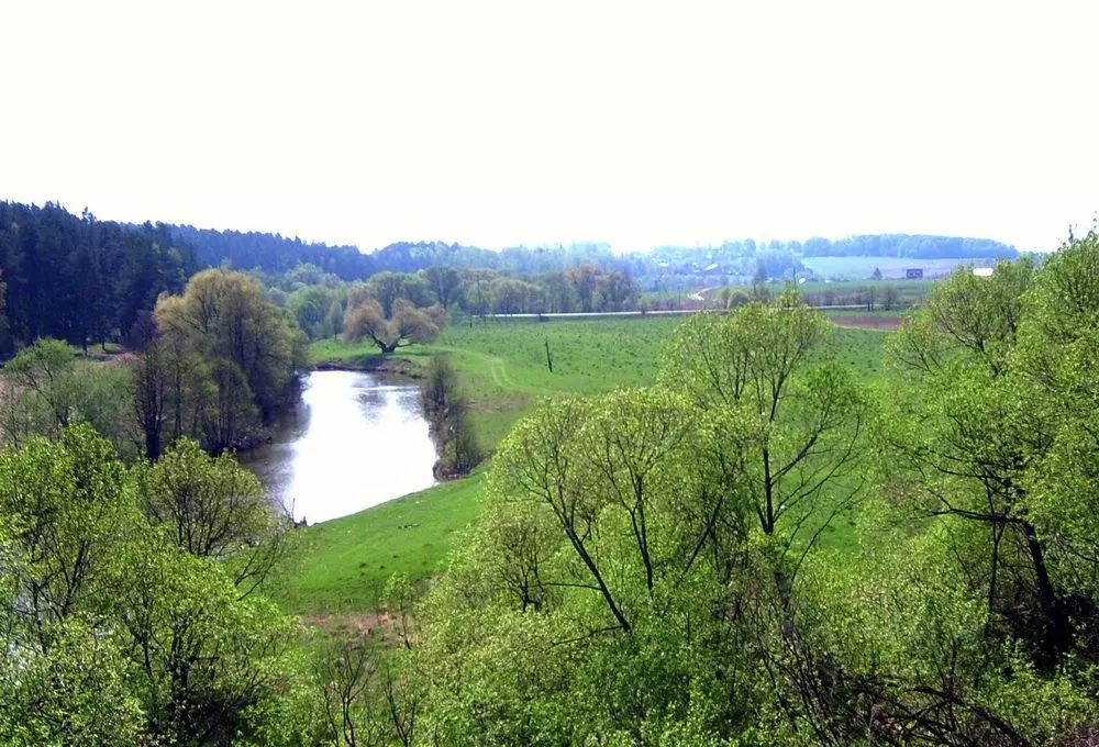 Участок в Калужская область, Тарусский район, д. Похвиснево  (5.5 ... - Фото 2