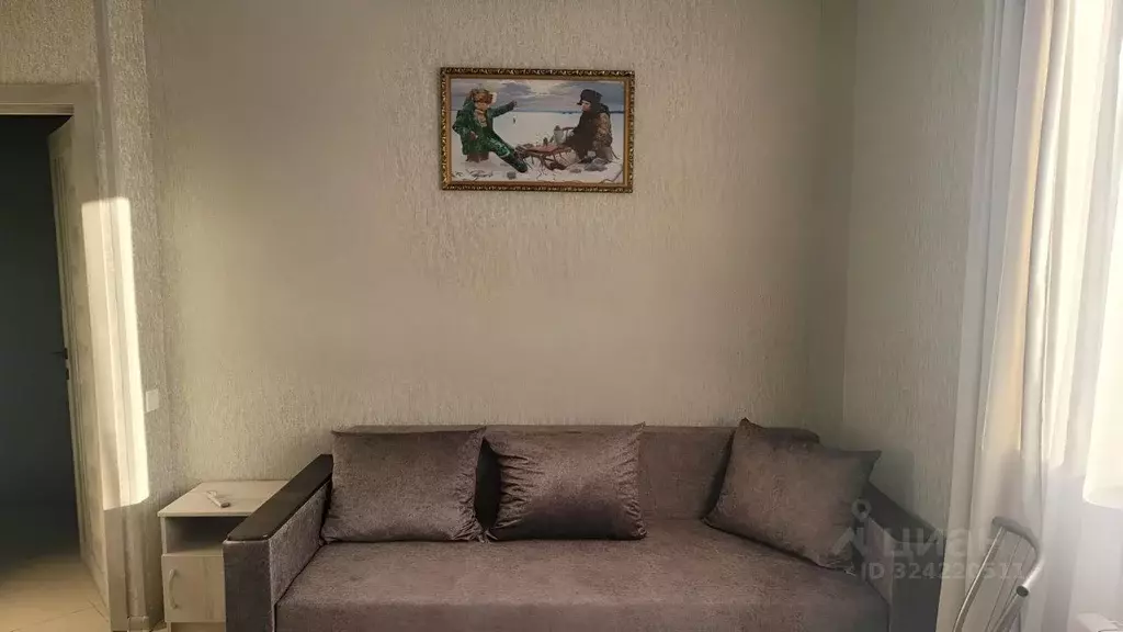 Студия Краснодарский край, Сочи Краснодарская ул., 1Б (19.0 м) - Фото 0