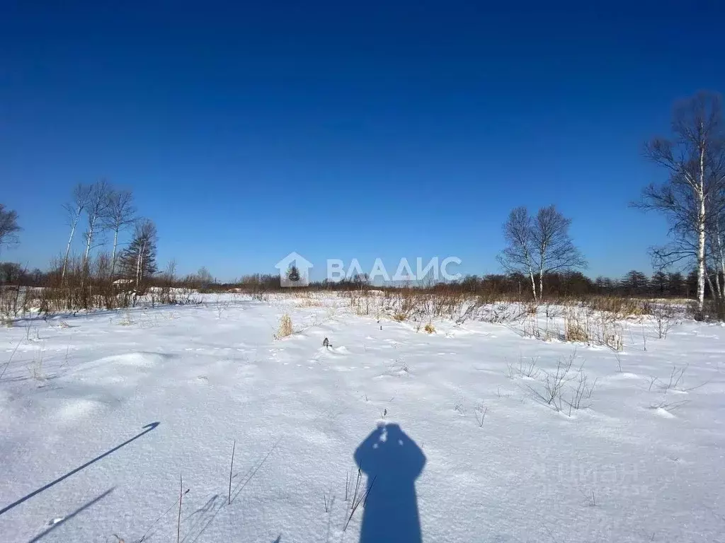 Участок в Сахалинская область, Анивский городской округ, с. Мицулевка ... - Фото 1