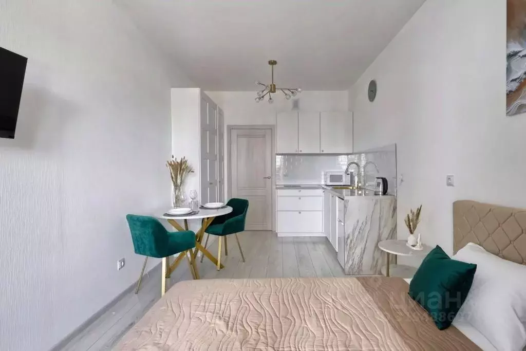 1-к кв. Санкт-Петербург просп. Маршала Блюхера, 3к2 (24.0 м) - Фото 2